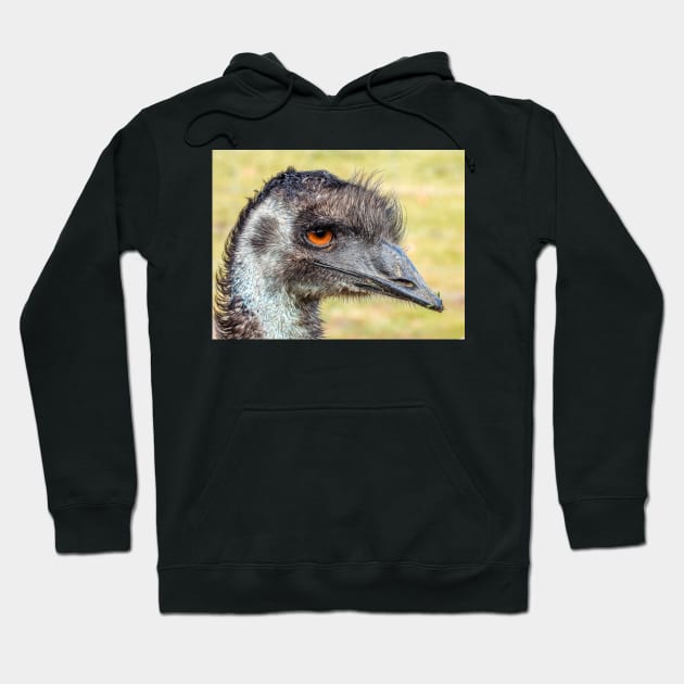 Emu close up Hoodie by kathiemt